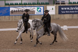 Lusitano Breed Society of Great Britain Show - Hartpury College - 27th June 2009